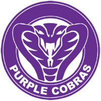 Logo 2